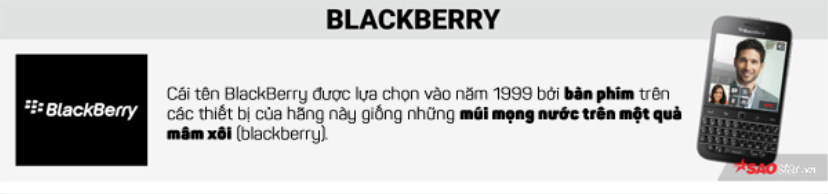 Vì sao Google được gọi là… Google, đằng sau mỗi cái tên lại là một câu chuyện thú vị Ảnh 5