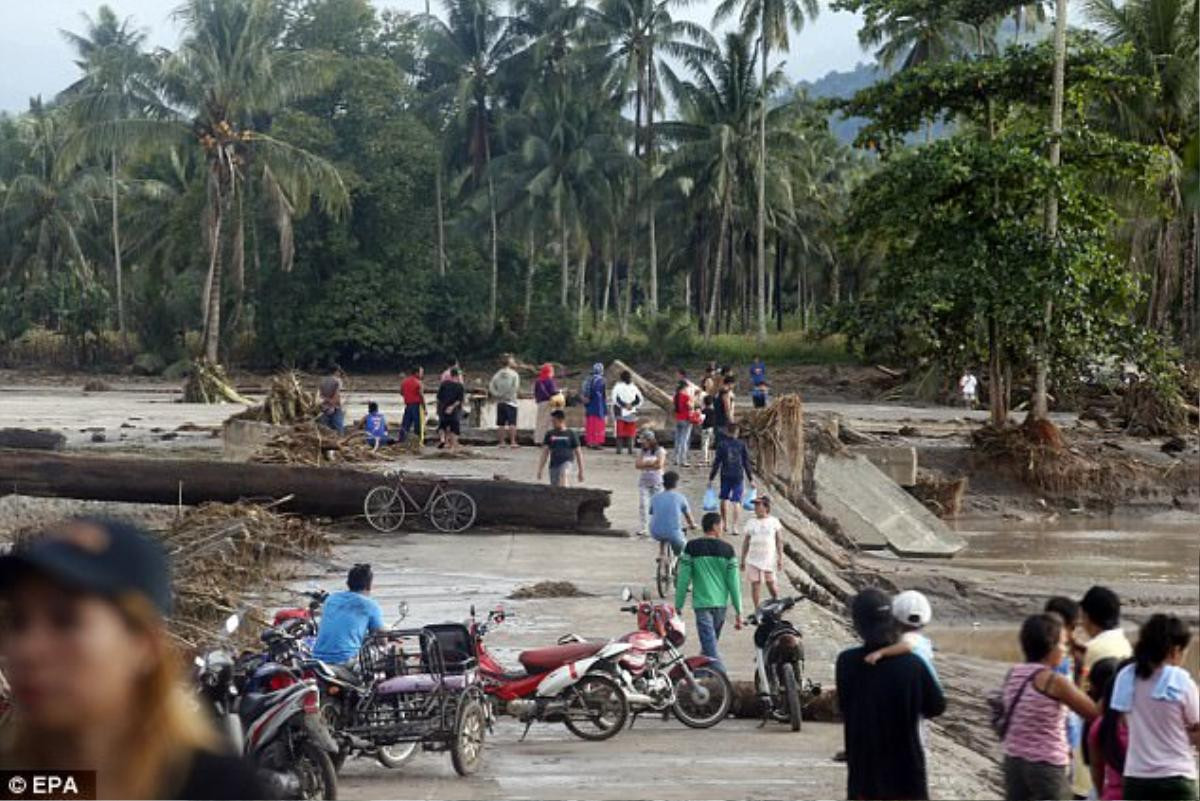 Neo tàu tránh bão Tembin, ngư dân Philippines bị cá sấu ăn thịt Ảnh 2