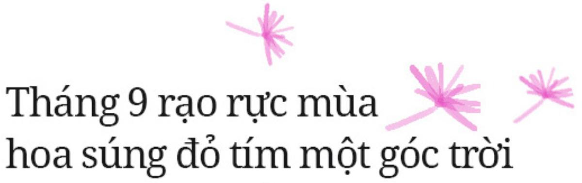 Đi qua 12 mùa hoa rực rỡ, bạn đã bao lần tìm thấy hạnh phúc? Ảnh 14