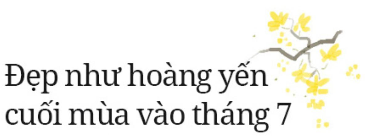 Đi qua 12 mùa hoa rực rỡ, bạn đã bao lần tìm thấy hạnh phúc? Ảnh 22