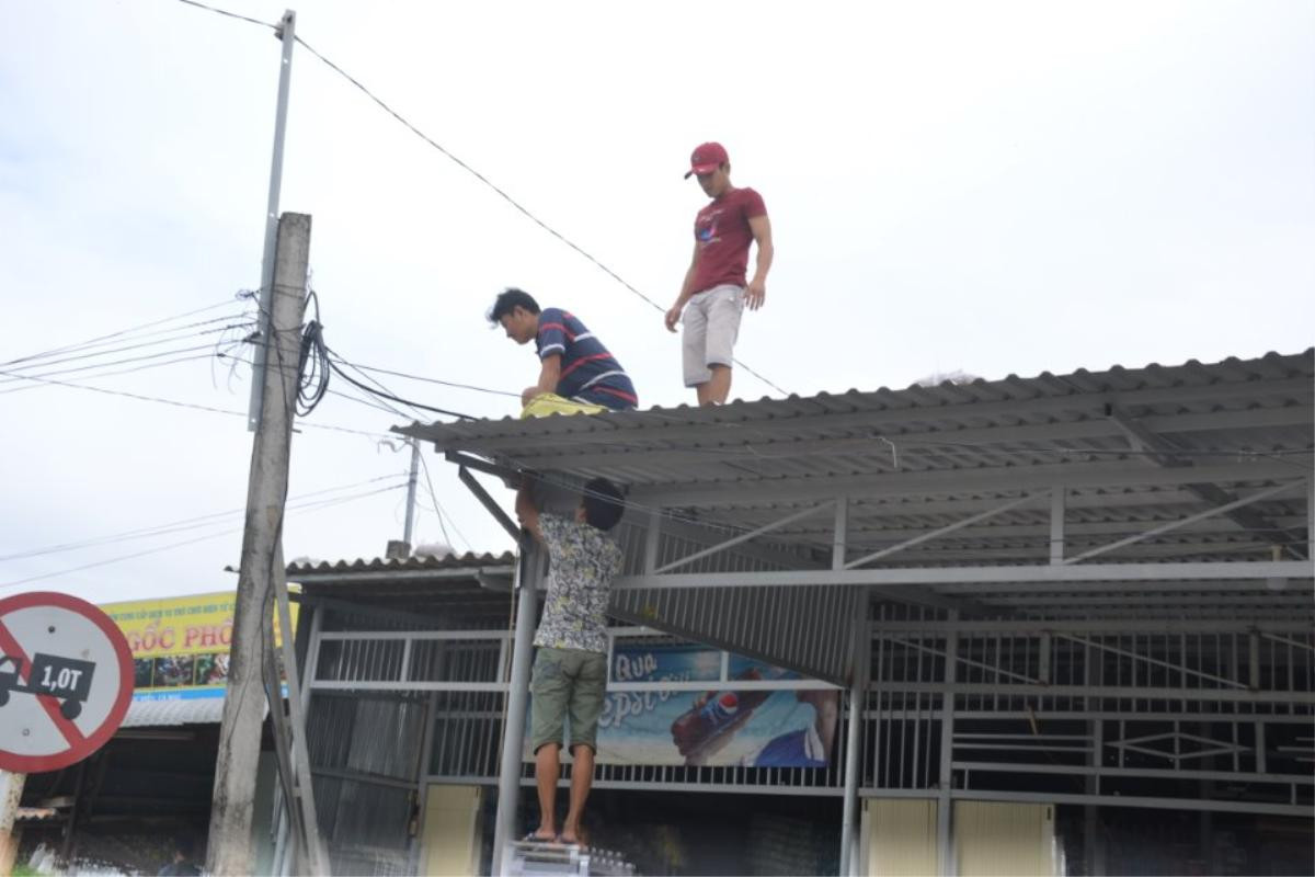 Bão Tembin 'càn quét': Nhiều cây bị quật đổ, pin năng lượng mặt trời bị đánh sập, dân tất bật sơ tán Ảnh 15