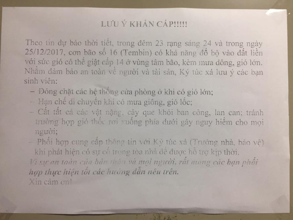 Mì tôm, bánh ngọt 'cháy hàng' trong ngày sinh viên đổ bộ đi mua đồ dự trữ tránh bão Tembin Ảnh 12