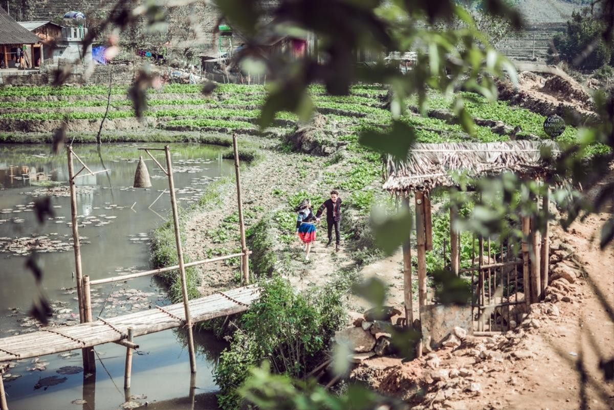 Hồ Quang Hiếu lên Tây Bắc quay MV xuân, mong ca khúc mới thành hit như 'Con bướm xinh' Ảnh 2