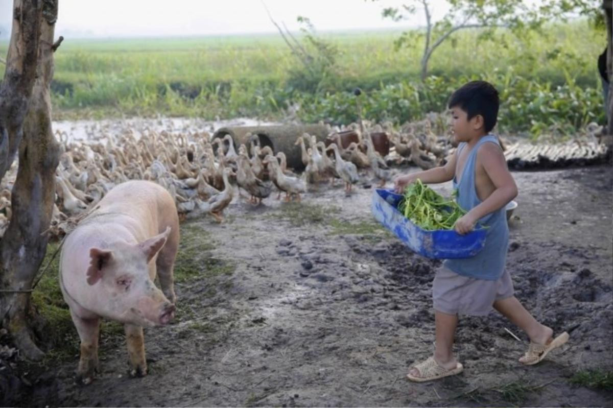 'Khi con là nhà': Không giống như xem phim, mà như được chứng kiến một câu chuyện thật ngoài đời Ảnh 4