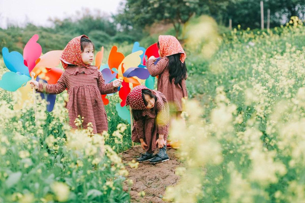 'Bộ 3 sát thủ mầm non' trên cánh đồng hoa cải siêu dễ thương Ảnh 10