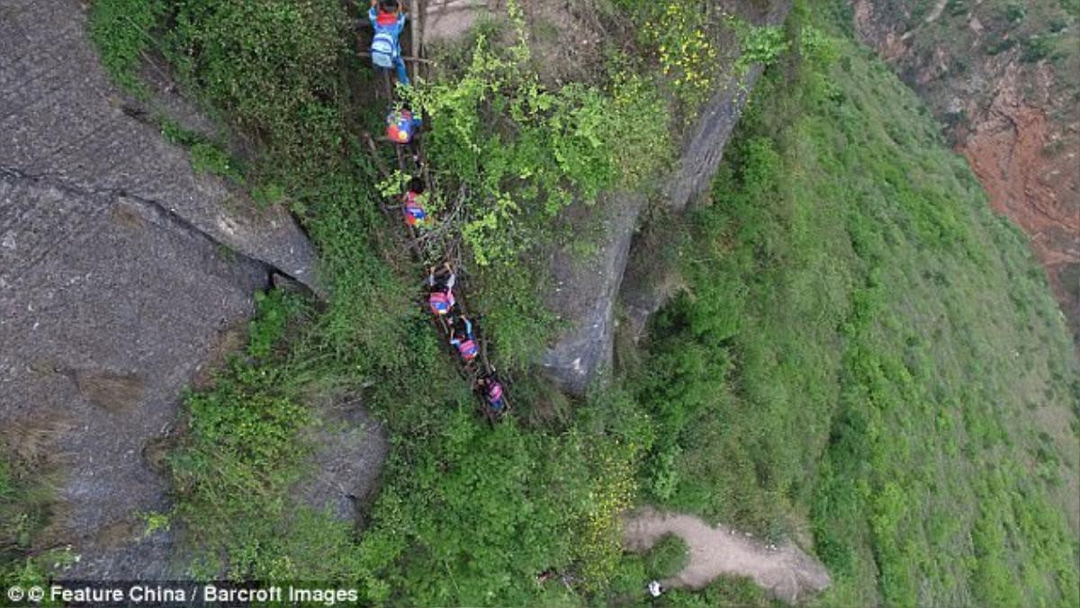 Sau vụ diễn viên tử vong vì ngã từ tầng 62, vẫn có thanh niên Trung Quốc liều mình như thế này Ảnh 2