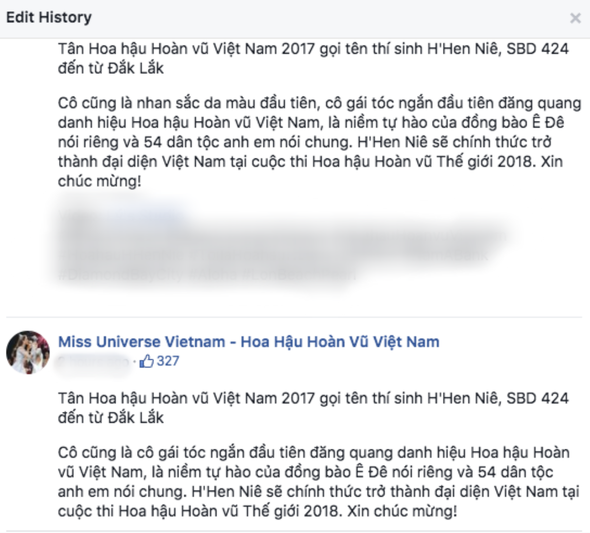 Gọi tân Hoa hậu H'Hen Niê là 'nhan sắc da màu', fanpage HHHV Việt Nam bị chỉ trích nặng nề Ảnh 2