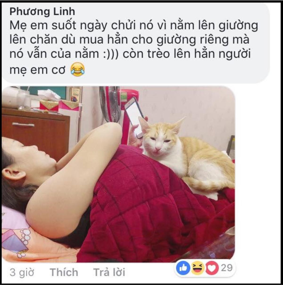 Khi bố mẹ nói 'Đem chó mèo vứt đi, không nuôi gì cả' và cái kết 'lay động' cư dân mạng Ảnh 2