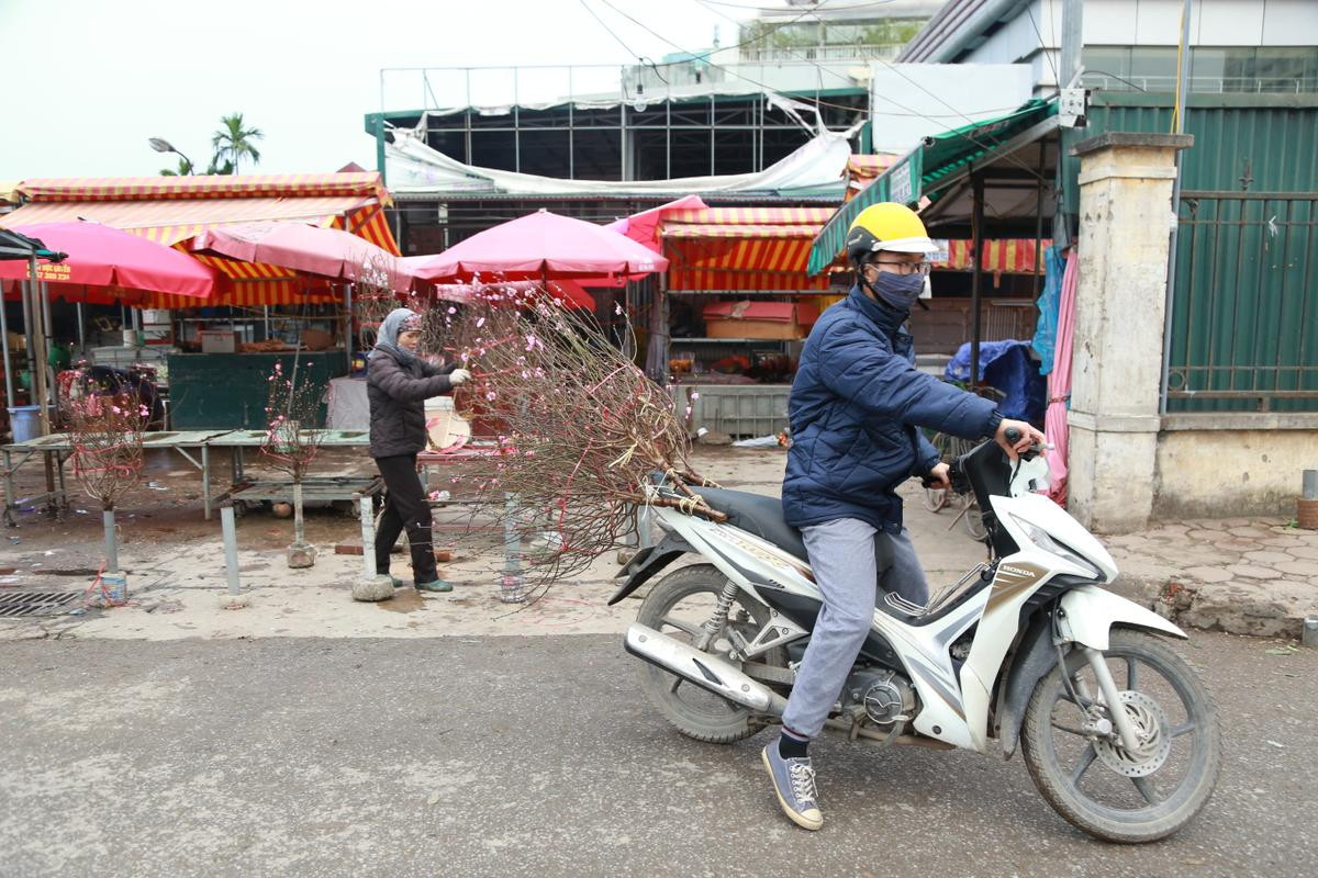 Chợ Quảng Bá ngập sắc hoa đào Nhật Tân, giá rẻ chỉ 50 nghìn/cành Ảnh 12