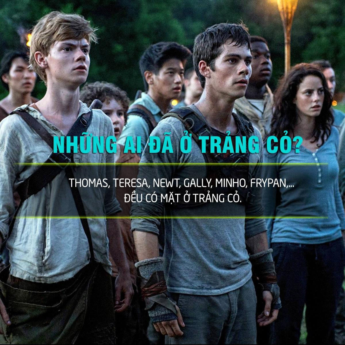 Trước khi xem 'Maze Runner 3', hãy cùng nhìn lại hành trình của Thomas và những người bạn Ảnh 3