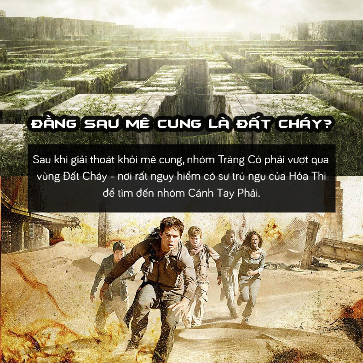 Trước khi xem 'Maze Runner 3', hãy cùng nhìn lại hành trình của Thomas và những người bạn Ảnh 5