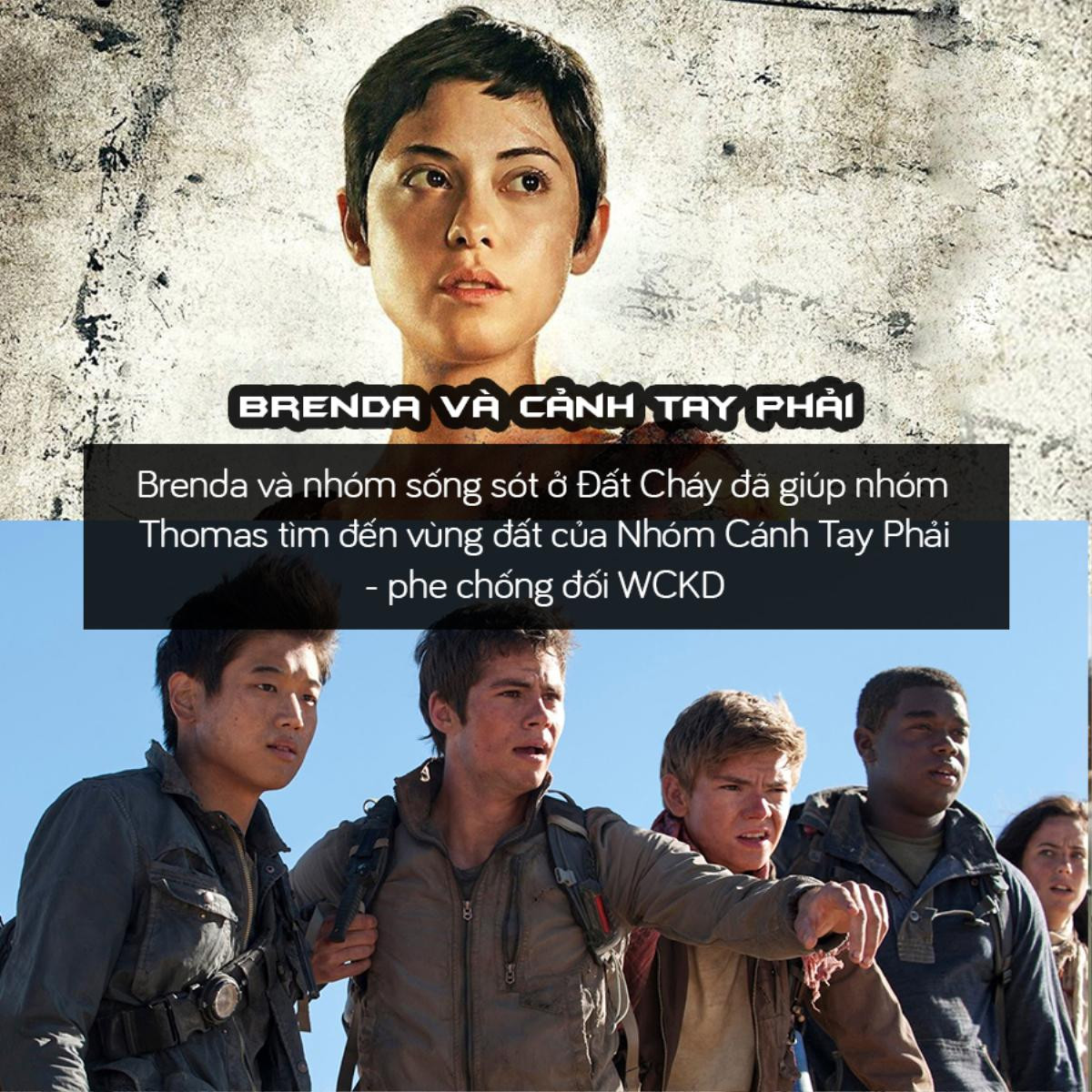 Trước khi xem 'Maze Runner 3', hãy cùng nhìn lại hành trình của Thomas và những người bạn Ảnh 7