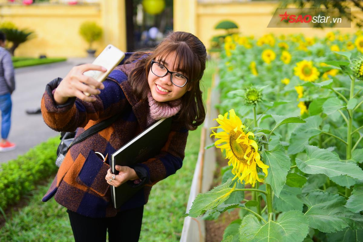 Chẳng cần vào tận Nghệ An mới được ngắm hướng dương, ngay Hà Nội thôi cũng có dải hoa sắc vàng Ảnh 10