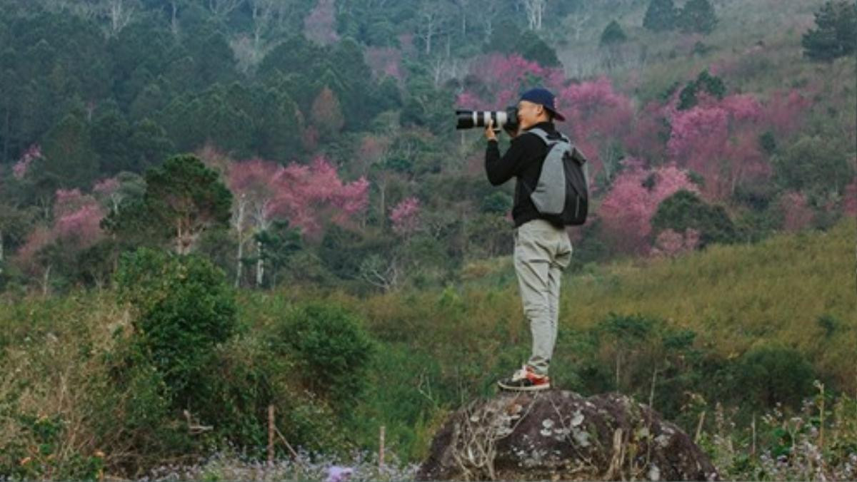 Ra mà xem, cả thế giới đang ở Đà Lạt và 'sống ảo' với hoa mai anh đào này! Ảnh 2