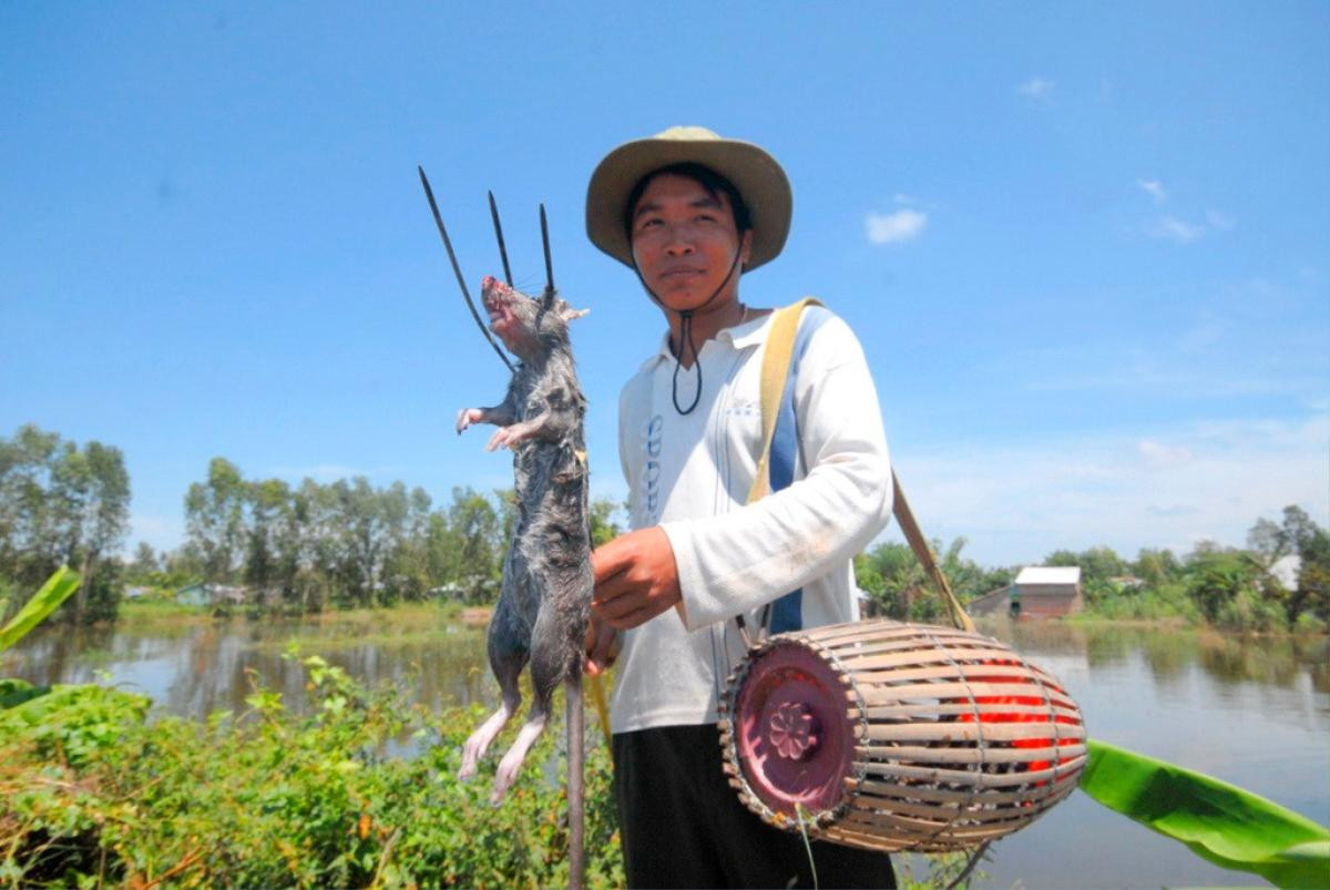 Những đặc sản khiến bạn phải 'khóc thét' khi đặt chân tới miền Tây Ảnh 1