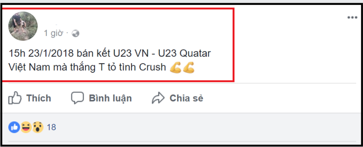 Trước thềm trận bán kết, dân mạng lại rần rần chia sẻ status thề 'độc': Nếu Việt Nam thắng, tôi sẽ… Ảnh 7