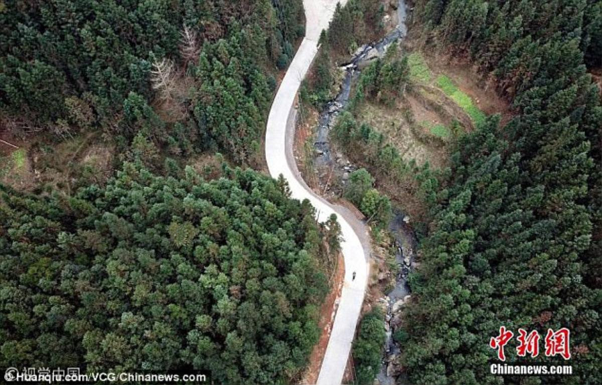 Bà đẩy cháu khuyết tật đến trường 24km mỗi ngày: Câu chuyện khiến bao người rơi lệ Ảnh 2