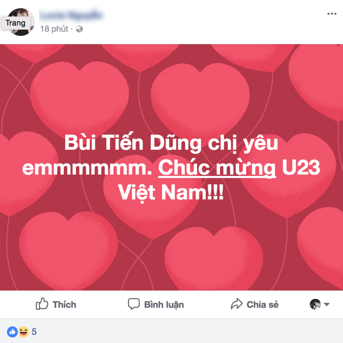 Chung kết rồi Việt Nam ơi - Những người không yêu bóng đá sau hôm nay chắc chắn cũng phải mê nhé! Ảnh 16