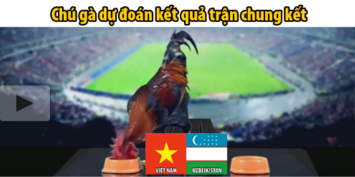 Thích thú với clip các nhà tiên tri 'gà, đà điểu, cào cào' dự đoán U23 Việt Nam vô địch Ảnh 1