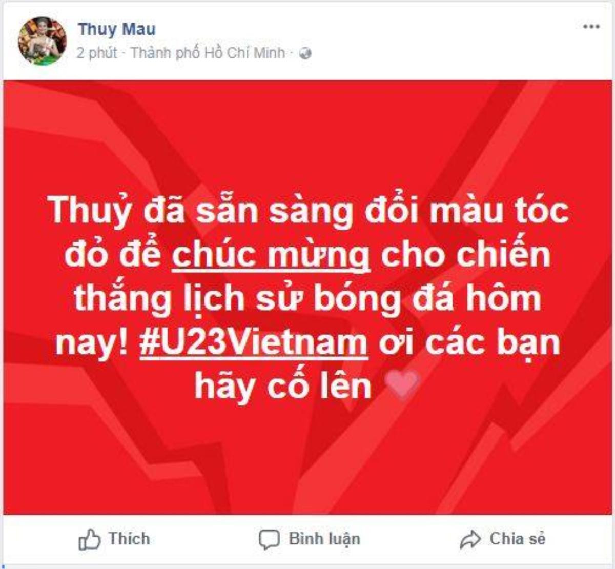 Lan Khuê, Minh Tú, Diệu Nhi cùng dàn sao Việt sẵn sàng cổ vũ U23 Việt Nam trước 'giờ G' chung kết Ảnh 1