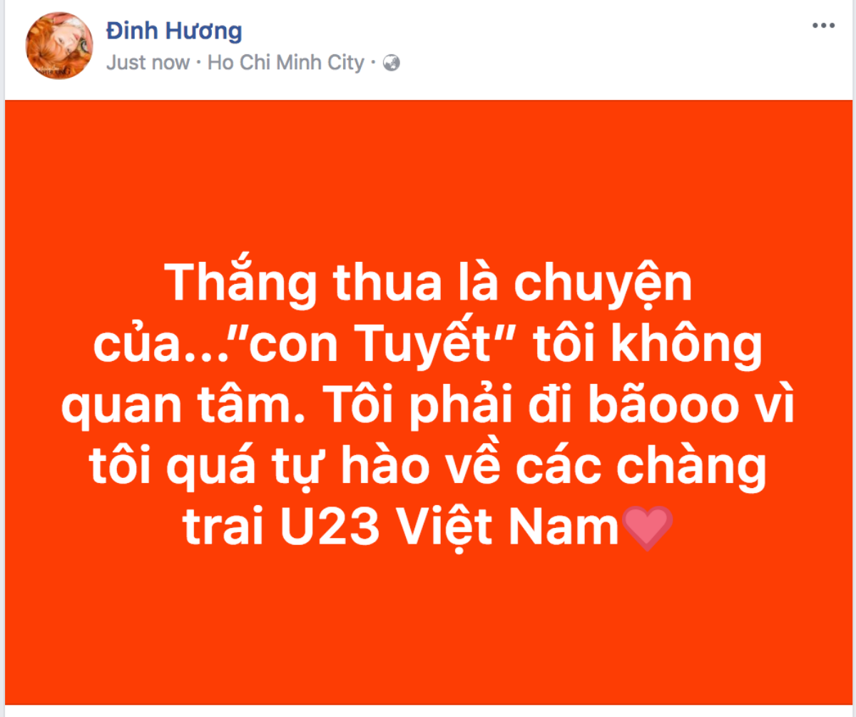 Loạt sao Việt tự hào, an ủi U23 Việt Nam: 'Các em đã quá tuyệt vời' Ảnh 18