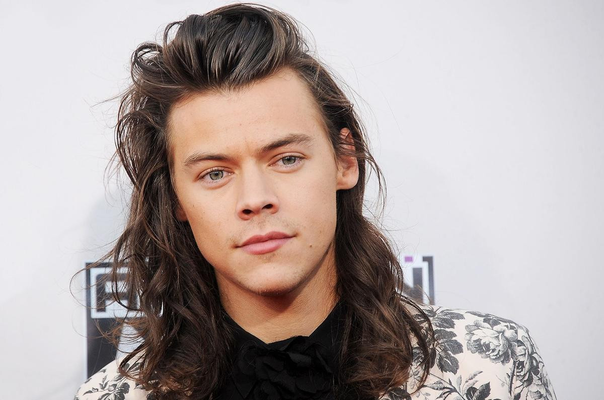 Harry Styles và những bí mật đến cả fan 'cứng cựa' cũng chưa chắc đã biết Ảnh 6