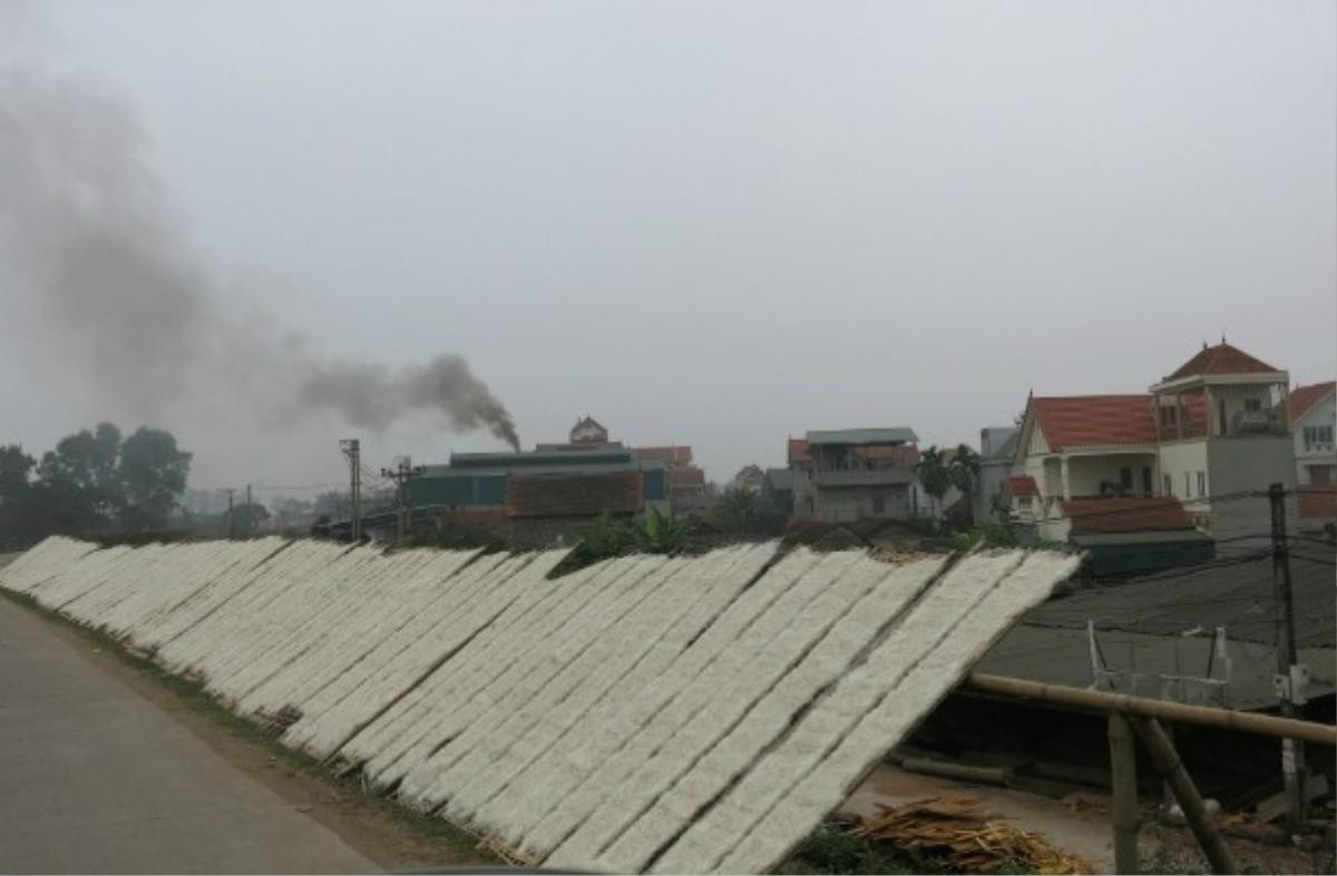 Tràn lan thực phẩm bẩn trước Tết Nguyên đán - Người tiêu dùng 'méo mặt' vì lo tiền mất tật mang Ảnh 4