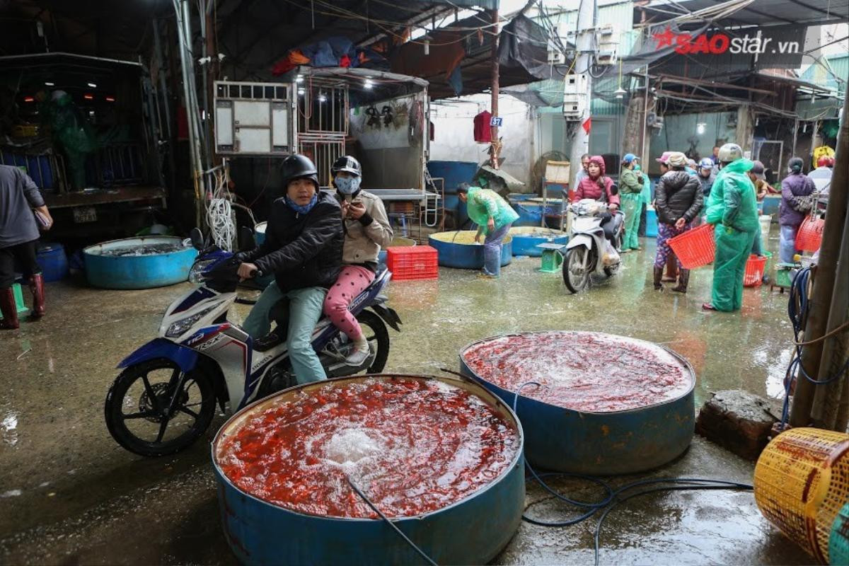 Chợ cá Yên Sở nhộn nhịp trước ngày tiễn ông Công ông Táo về trời Ảnh 2