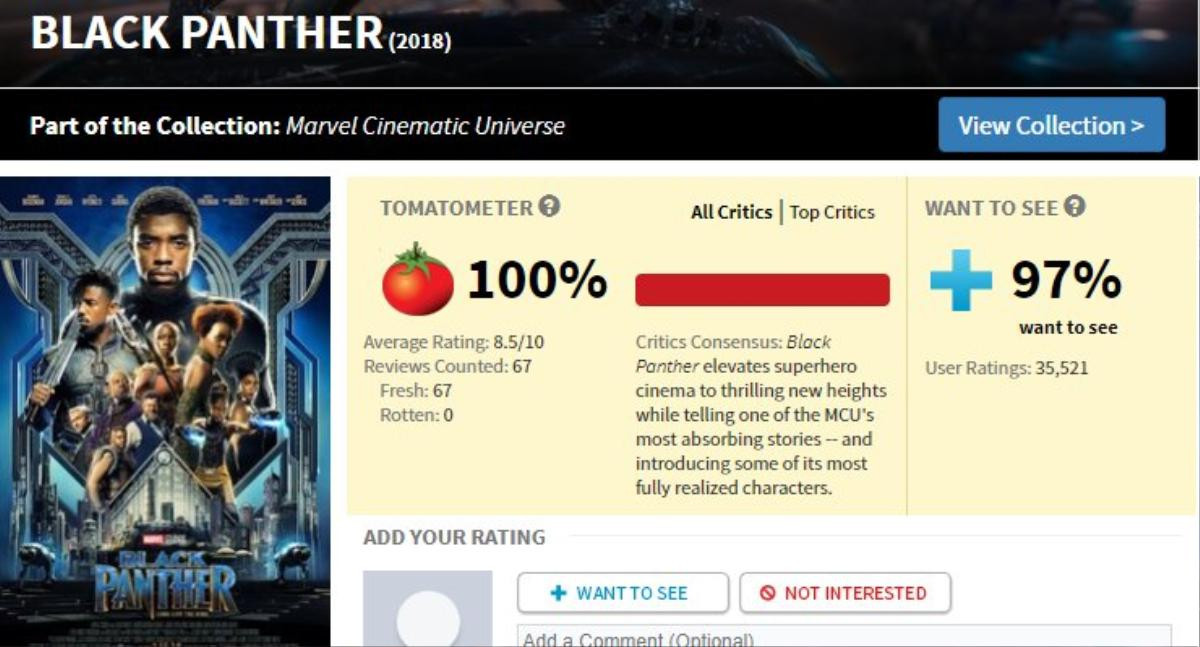 Chưa chiếu nhưng 'Black Panther' đã nhận điểm tuyệt đối trên Rotten Tomatoes, 87 điểm Metacritic Ảnh 7