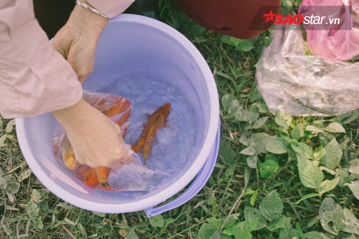 Hàng chục thuyền bè tập trung vớt cá vừa phóng sinh, mang đi bán ngay ngày cúng ông Táo Ảnh 8