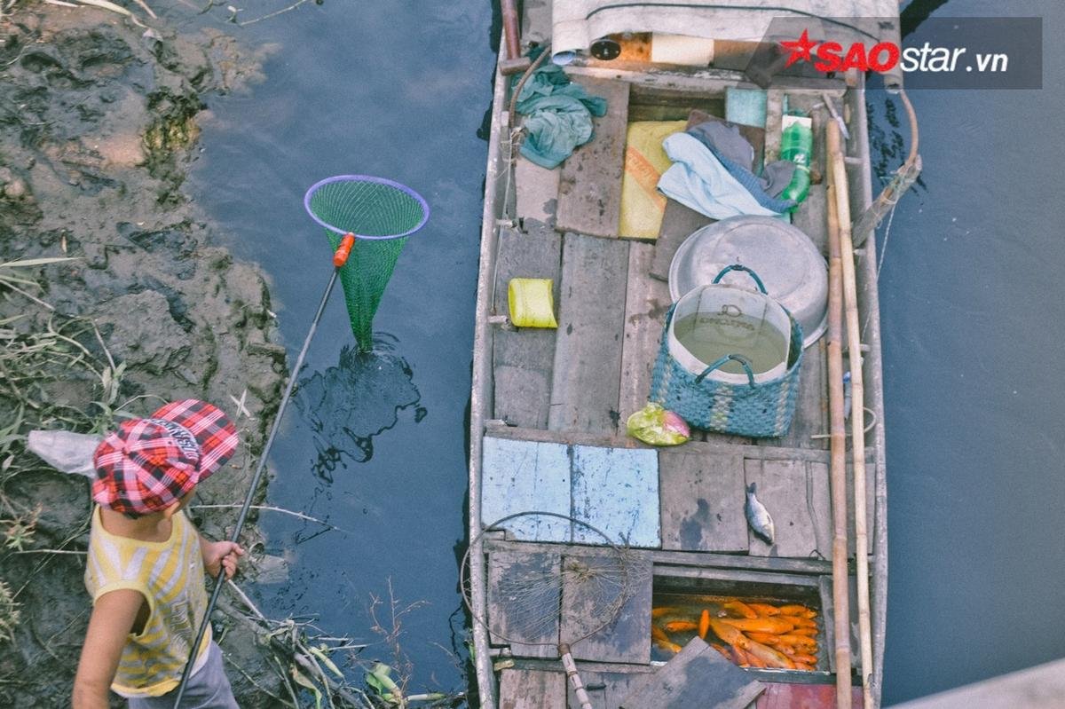 Hàng chục thuyền bè tập trung vớt cá vừa phóng sinh, mang đi bán ngay ngày cúng ông Táo Ảnh 6