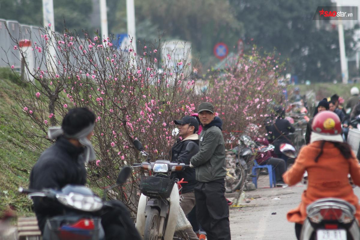 Nếu chưa thấy Tết, hãy tìm đến sắc đào ở chợ hoa Quảng Bá Ảnh 1