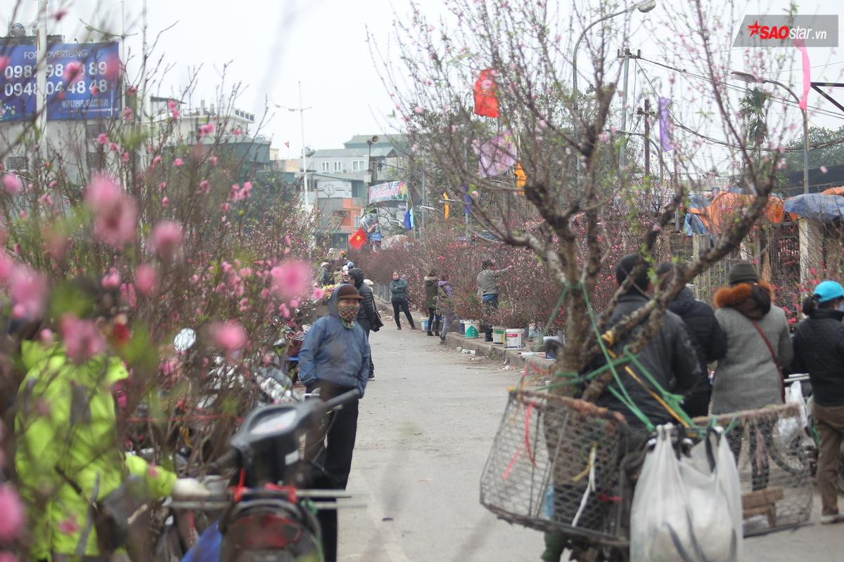 Nếu chưa thấy Tết, hãy tìm đến sắc đào ở chợ hoa Quảng Bá Ảnh 10