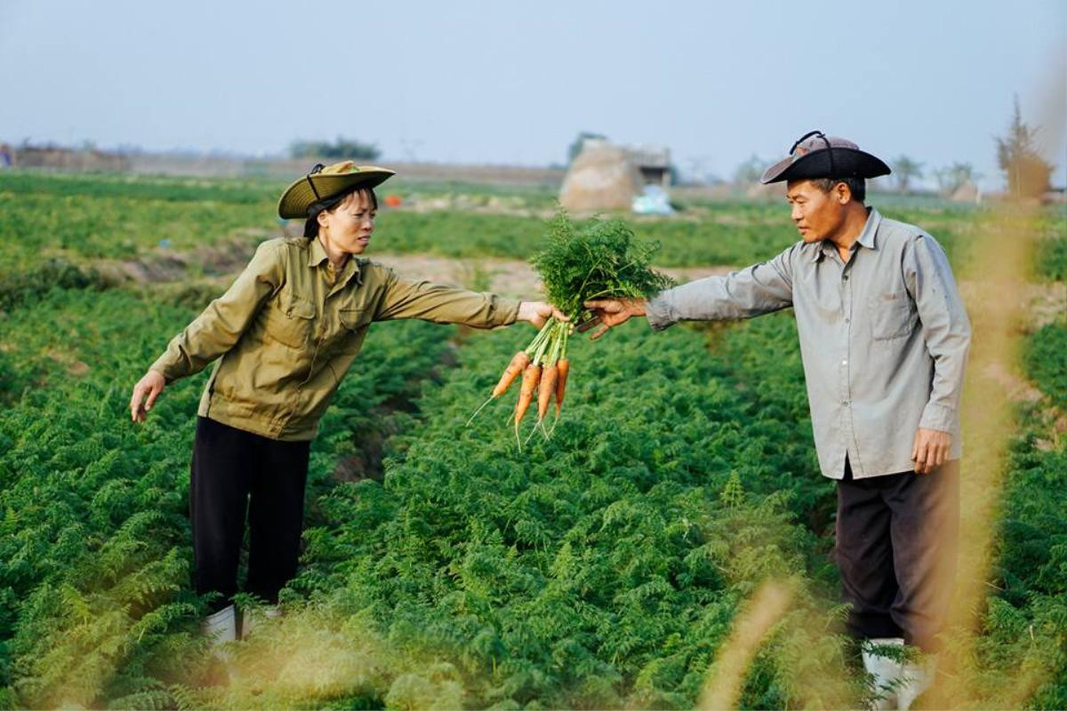 Bộ ảnh tình yêu giản dị nhưng ấm áp của cặp vợ chồng nông dân dịp Valentine khiến ai cũng xao xuyến Ảnh 8