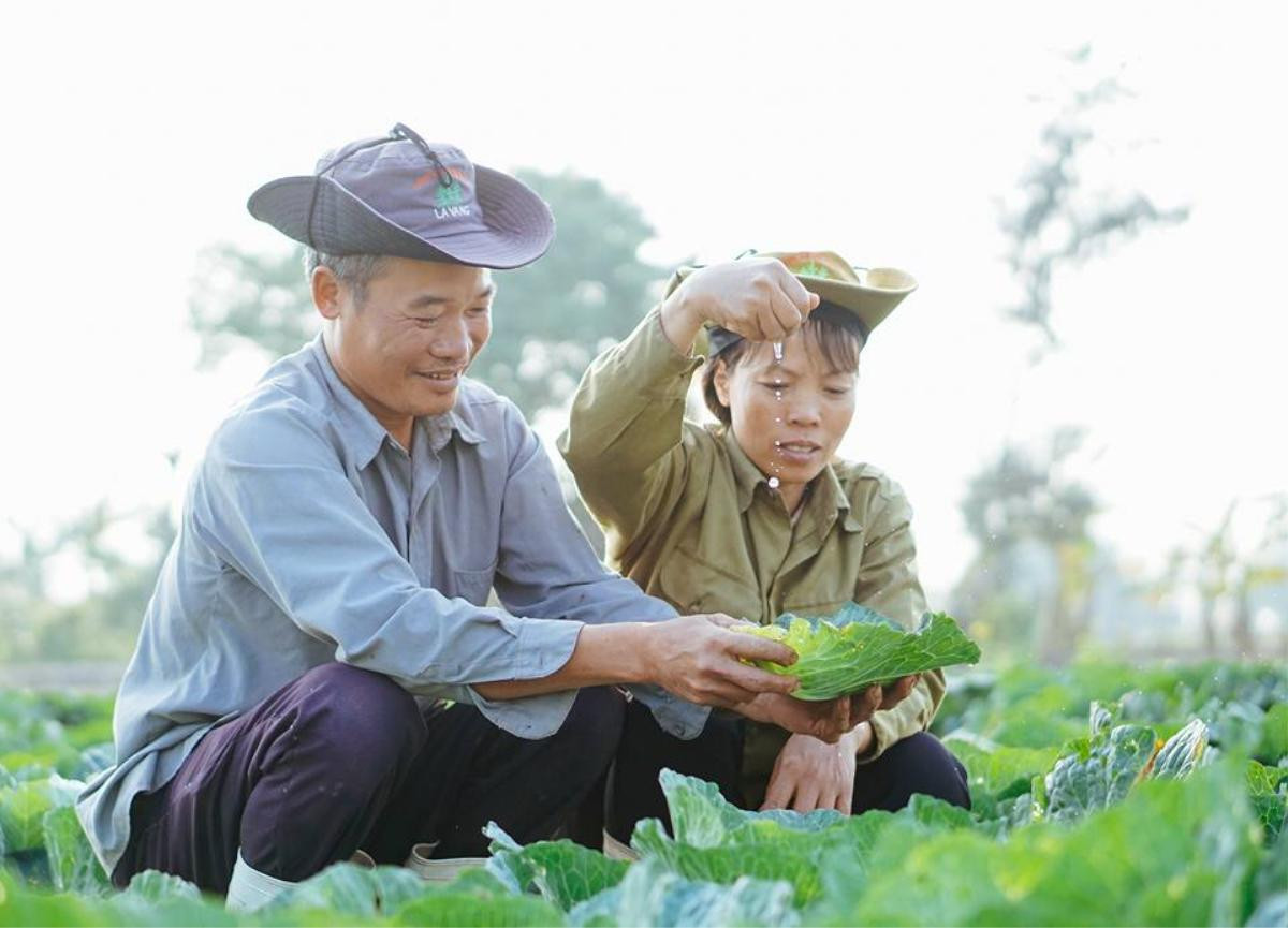 Bộ ảnh tình yêu giản dị nhưng ấm áp của cặp vợ chồng nông dân dịp Valentine khiến ai cũng xao xuyến Ảnh 2