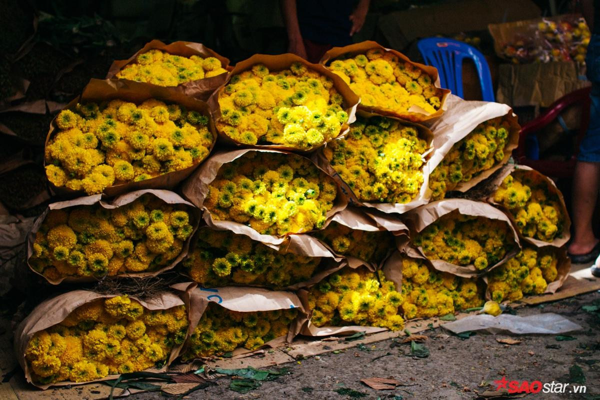 Chiều cuối năm, lang thang ở những chợ hoa truyền thống Sài Gòn đã thấy Tết về đến nơi rồi! Ảnh 12