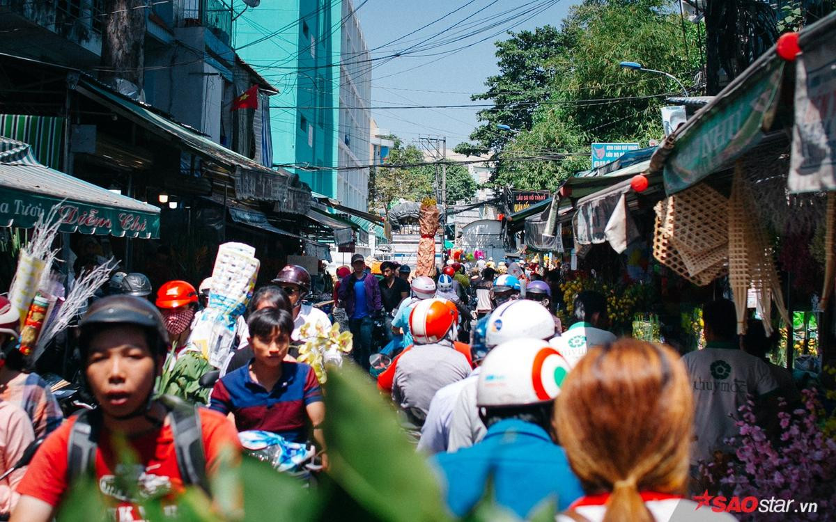 Chiều cuối năm, lang thang ở những chợ hoa truyền thống Sài Gòn đã thấy Tết về đến nơi rồi! Ảnh 9