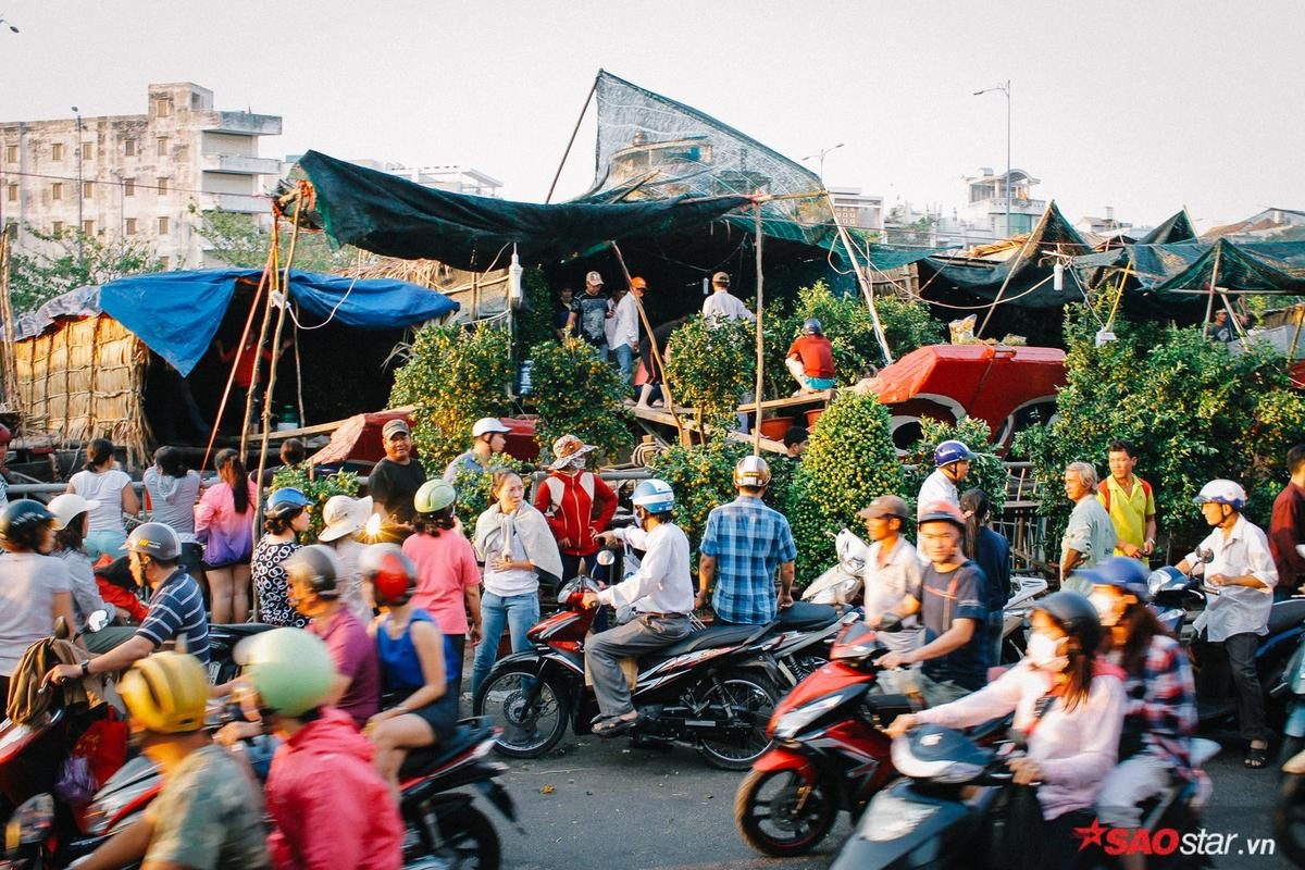 Chiều cuối năm, lang thang ở những chợ hoa truyền thống Sài Gòn đã thấy Tết về đến nơi rồi! Ảnh 3