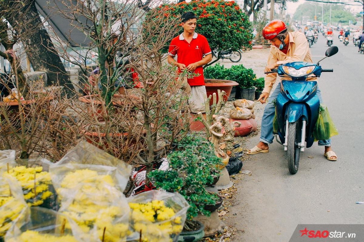 Chiều cuối năm, lang thang ở những chợ hoa truyền thống Sài Gòn đã thấy Tết về đến nơi rồi! Ảnh 2