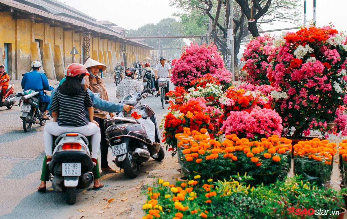 Chiều cuối năm, lang thang ở những chợ hoa truyền thống Sài Gòn đã thấy Tết về đến nơi rồi! Ảnh 4