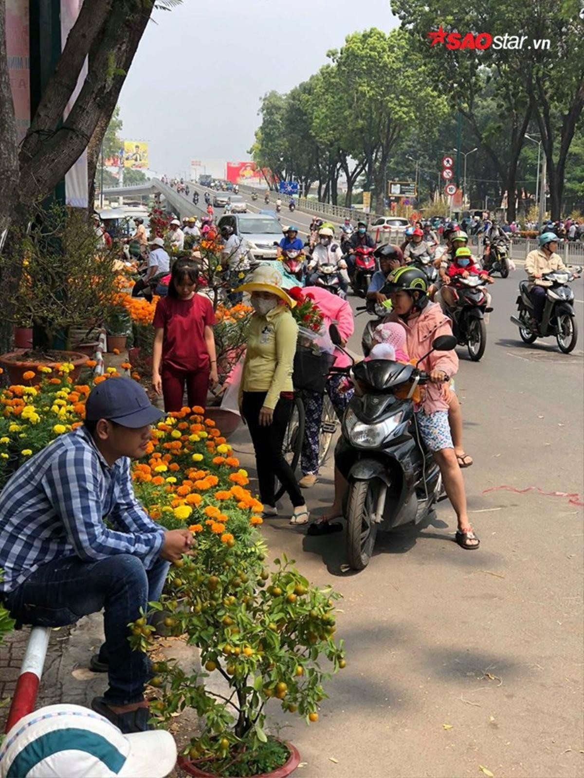 Cây cảnh bán rẻ như cho vẫn bị ép giá, tiểu thương Sài Gòn chặt nát vứt vào thùng rác Ảnh 3