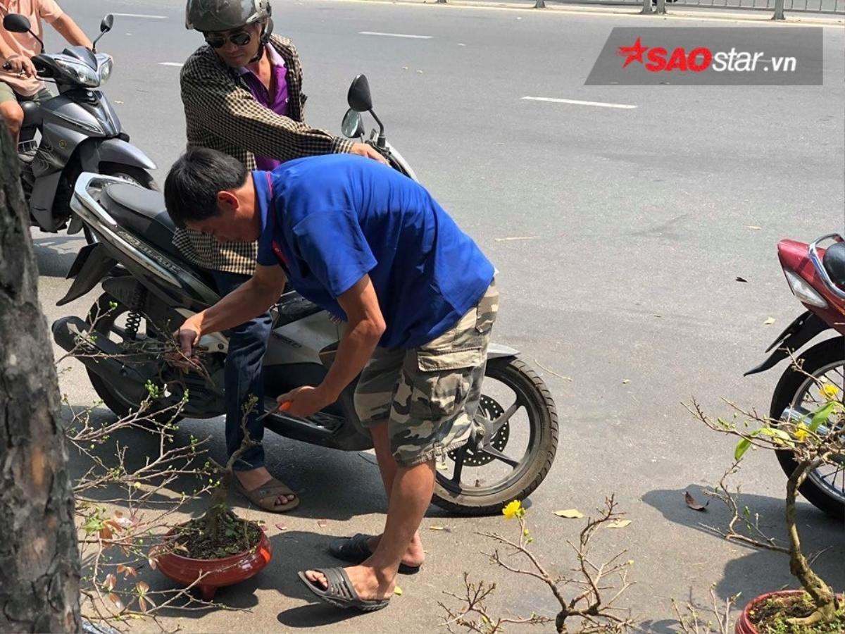 Cây cảnh bán rẻ như cho vẫn bị ép giá, tiểu thương Sài Gòn chặt nát vứt vào thùng rác Ảnh 9