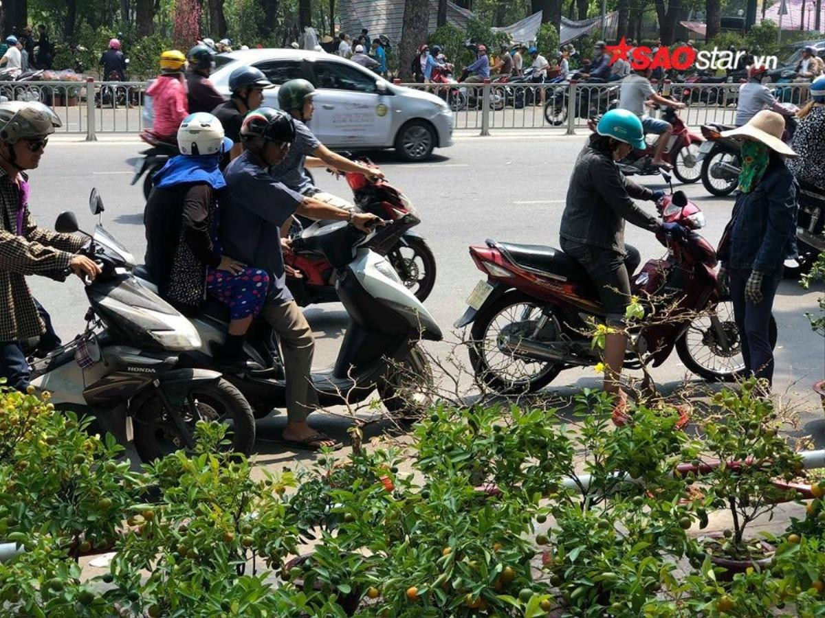 Cây cảnh bán rẻ như cho vẫn bị ép giá, tiểu thương Sài Gòn chặt nát vứt vào thùng rác Ảnh 7