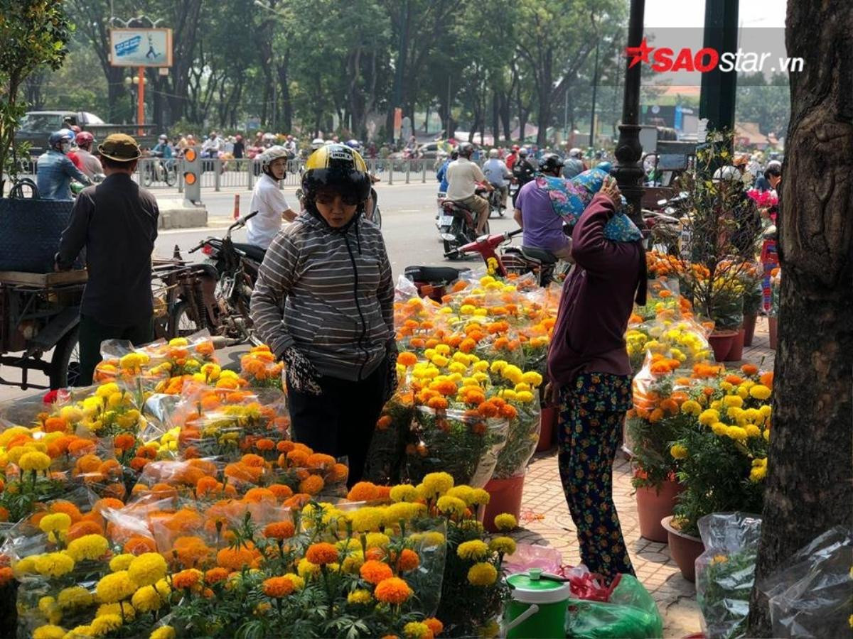 Cây cảnh bán rẻ như cho vẫn bị ép giá, tiểu thương Sài Gòn chặt nát vứt vào thùng rác Ảnh 2