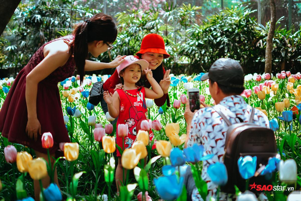 Hàng nghìn lượt khách kéo nhau chụp hình, giẫm nát vườn hoa hồng hoa tulip trong ngày đầu xuân Ảnh 1