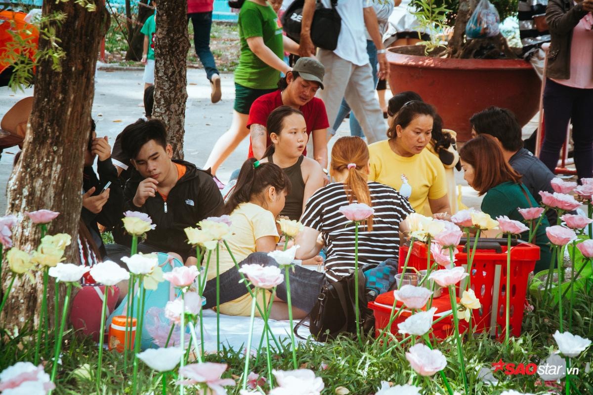 Hàng nghìn lượt khách kéo nhau chụp hình, giẫm nát vườn hoa hồng hoa tulip trong ngày đầu xuân Ảnh 11