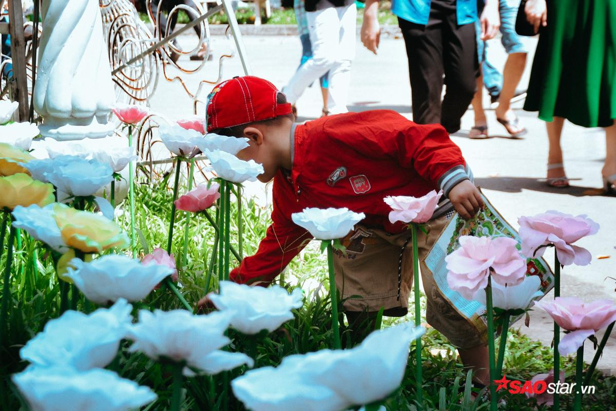 Hàng nghìn lượt khách kéo nhau chụp hình, giẫm nát vườn hoa hồng hoa tulip trong ngày đầu xuân Ảnh 5