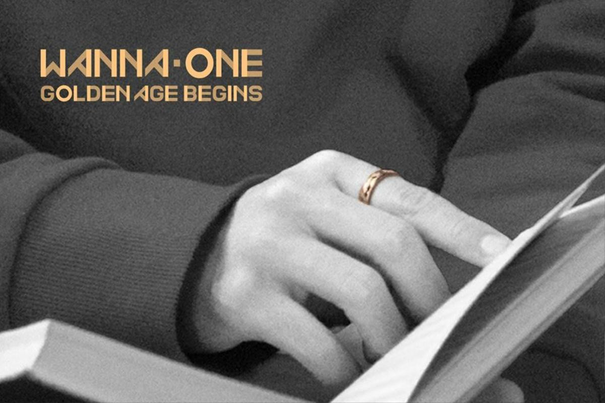 Fan Wanna One hóa 'thám tử bất đắc dĩ' vì teaser trở lại của thần tượng… chỉ toàn tay Ảnh 12