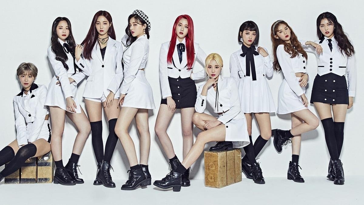 Phía Momoland trình hoá đơn, netizen gay gắt phản ứng: 'Công ty Nhật nào thèm order 9000 album?' Ảnh 1