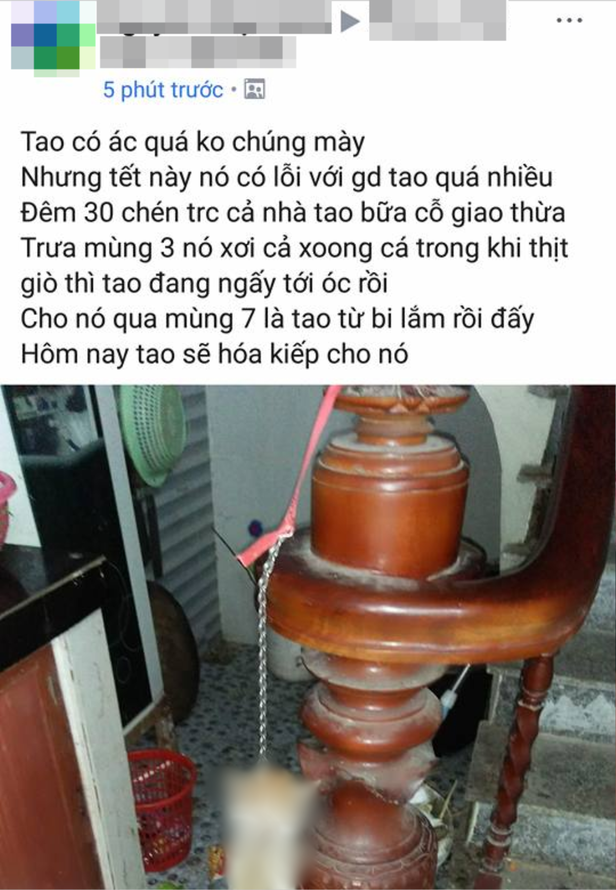 Chỉ vì ăn vụng ngày Tết, chú mèo bị nam thanh niên treo ngược lên cầu thang rồi dọa 'hóa kiếp' Ảnh 1